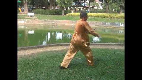 Xingyiquan 12 Animal-Form Continuous Fist