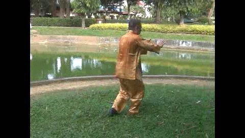 Xingyiquan 12 Animal-Form Continuous Fist