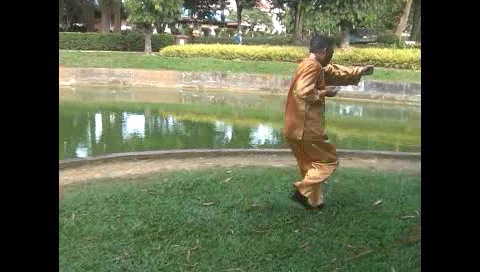 Xingyiquan 12 Animal-Form Continuous Fist