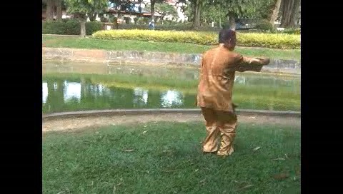 Xingyiquan 12 Animal-Form Continuous Fist