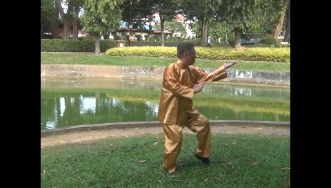 Xingyiquan 12 Animal-Form Continuous Fist