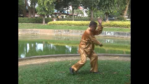 Xingyiquan 12 Animal-Form Continuous Fist