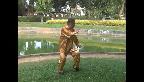 Xingyiquan 12 Animal-Form Continuous Fist