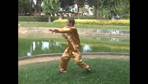 Xingyiquan 12 Animal-Form Continuous Fist