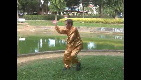 Xingyiquan 12 Animal-Form Continuous Fist