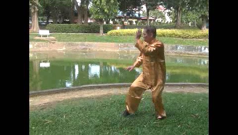 Xingyiquan 12 Animal-Form Continuous Fist