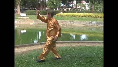 Xingyiquan 12 Animal-Form Continuous Fist