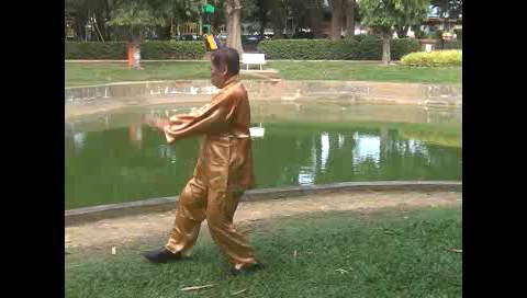 Xingyiquan 12 Animal-Form Continuous Fist