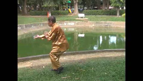 Xingyiquan 12 Animal-Form Continuous Fist