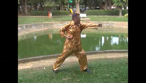 Xingyiquan 12 Animal-Form Continuous Fist