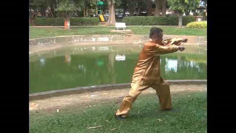 Xingyiquan 12 Animal-Form Continuous Fist