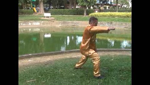 Xingyiquan 12 Animal-Form Continuous Fist