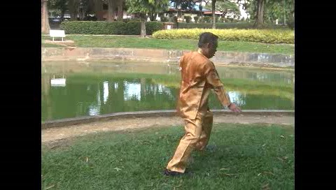 Xingyiquan 12 Animal-Form Continuous Fist