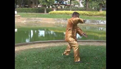 Xingyiquan 12 Animal-Form Continuous Fist
