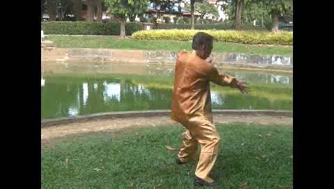 Xingyiquan 12 Animal-Form Continuous Fist