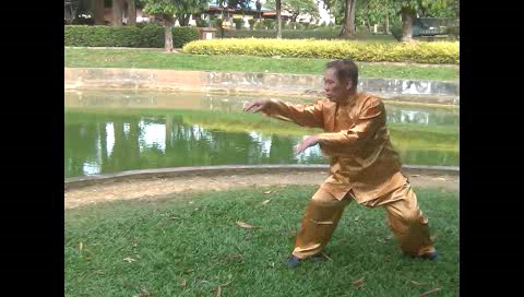Xingyiquan 12 Animal-Form Continuous Fist