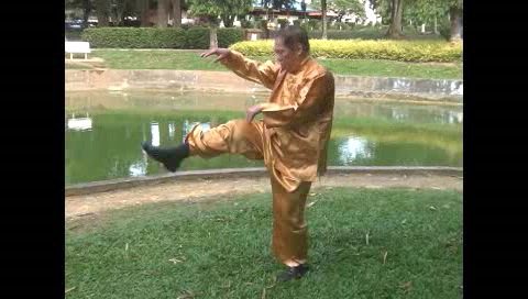 Xingyiquan 12 Animal-Form Continuous Fist
