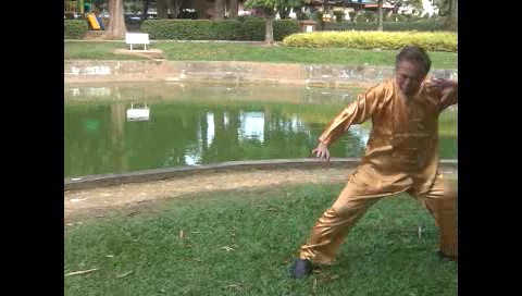 Xingyiquan 12 Animal-Form Continuous Fist