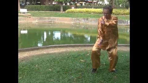 Xingyiquan 12 Animal-Form Continuous Fist