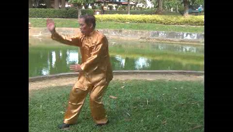 Xingyiquan 12 Animal-Form Continuous Fist