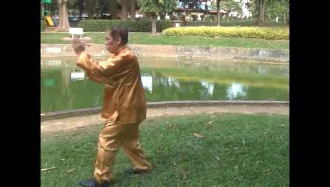 Xingyiquan 12 Animal-Form Continuous Fist