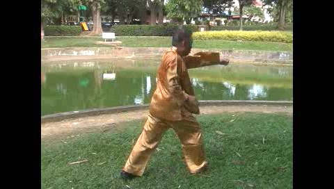 Xingyiquan 12 Animal-Form Continuous Fist