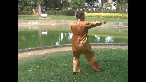 Xingyiquan 12 Animal-Form Continuous Fist