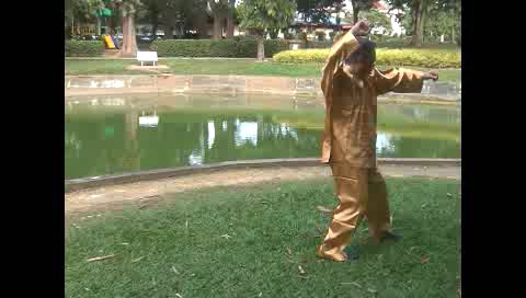 Xingyiquan 12 Animal-Form Continuous Fist