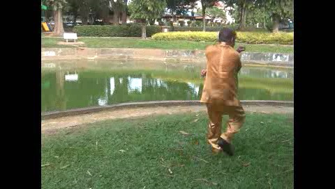 Xingyiquan 12 Animal-Form Continuous Fist