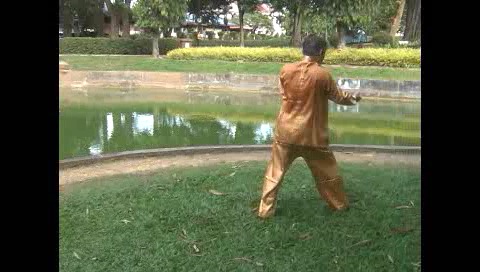 Xingyiquan 12 Animal-Form Continuous Fist