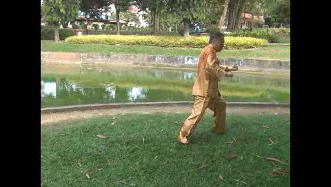 Xingyiquan 12 Animal-Form Continuous Fist