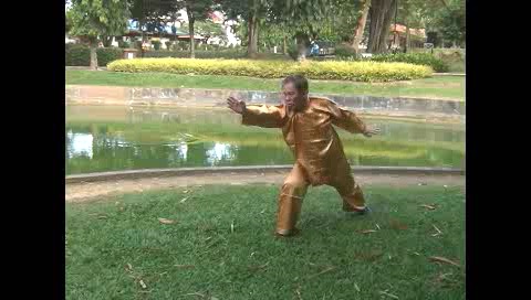 Xingyiquan 12 Animal-Form Continuous Fist