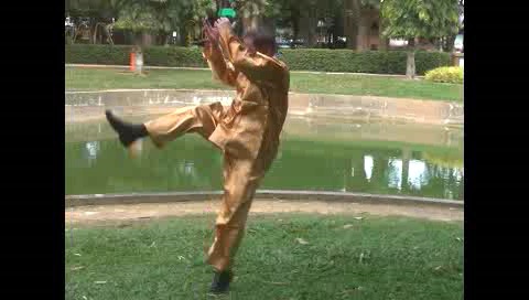 Xingyiquan 12 Animal-Form Continuous Fist