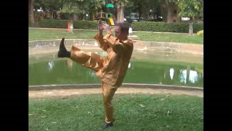 Xingyiquan 12 Animal-Form Continuous Fist