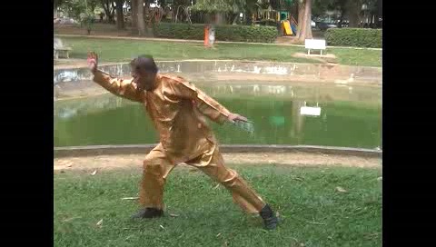 Xingyiquan 12 Animal-Form Continuous Fist