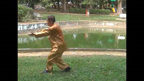 Xingyiquan 12 Animal-Form Continuous Fist