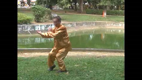 Xingyiquan 12 Animal-Form Continuous Fist