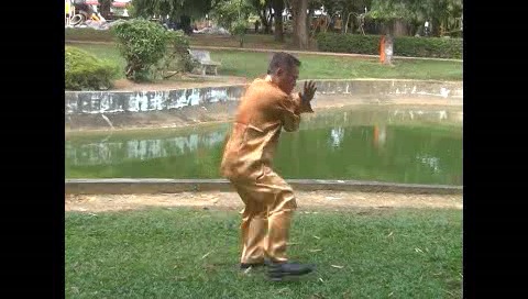 Xingyiquan 12 Animal-Form Continuous Fist