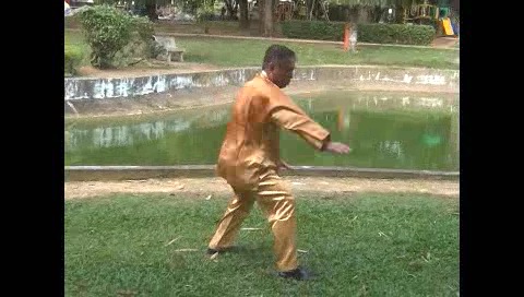 Xingyiquan 12 Animal-Form Continuous Fist