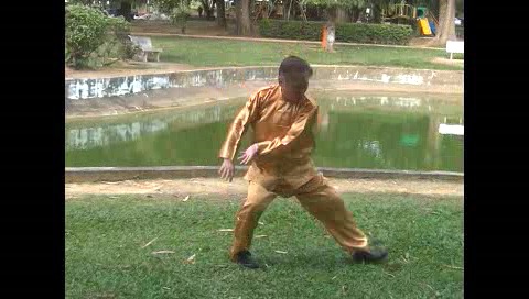 Xingyiquan 12 Animal-Form Continuous Fist