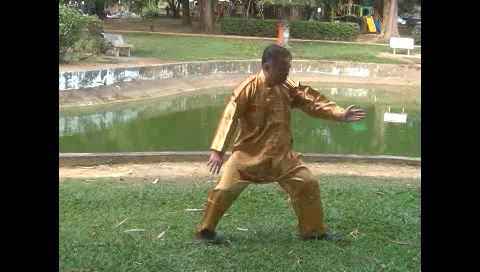 Xingyiquan 12 Animal-Form Continuous Fist