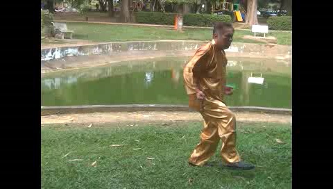 Xingyiquan 12 Animal-Form Continuous Fist