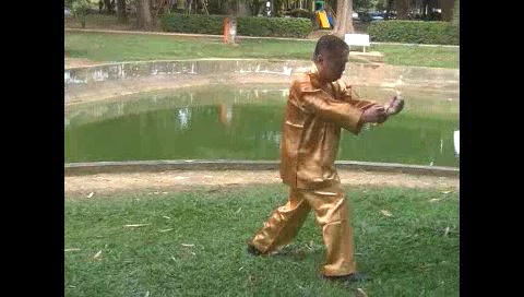 Xingyiquan 12 Animal-Form Continuous Fist