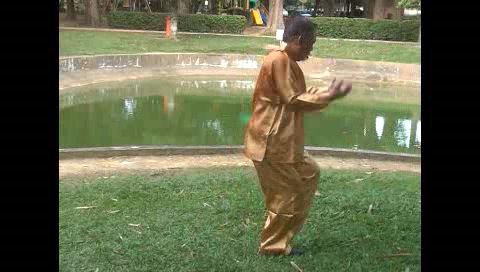 Xingyiquan 12 Animal-Form Continuous Fist