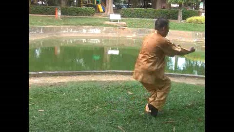 Xingyiquan 12 Animal-Form Continuous Fist