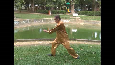 Xingyiquan 12 Animal-Form Continuous Fist