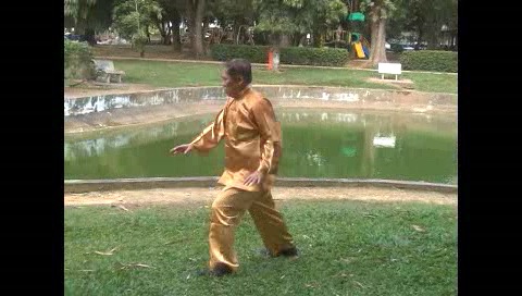 Xingyiquan 12 Animal-Form Continuous Fist