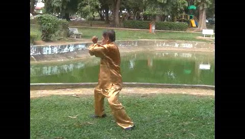Xingyiquan 12 Animal-Form Continuous Fist