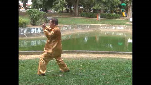 Xingyiquan 12 Animal-Form Continuous Fist