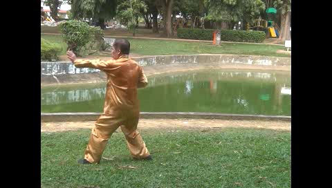 Xingyiquan 12 Animal-Form Continuous Fist